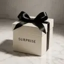 Bird secret box ( mini )