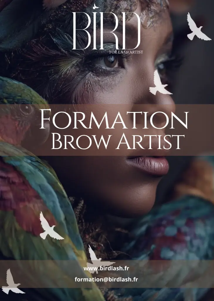 Livret formation brow artist