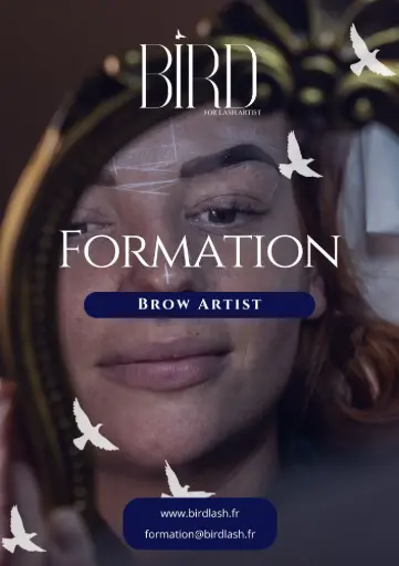 Brow Artist by BirdLash ( EBOOK)